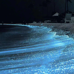 推油少年SPA的养生的
