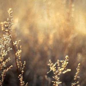 推油少年SPA的养生的
